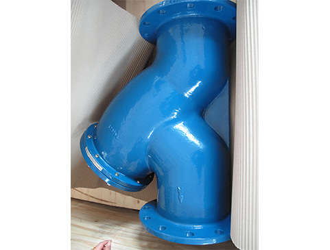 Flange End Y-strainer