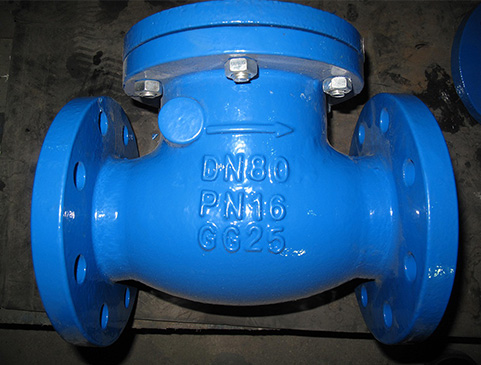 Swing Type Check Valve