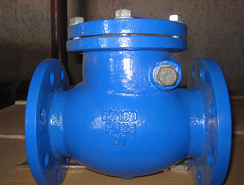 Swing Type Check Valve