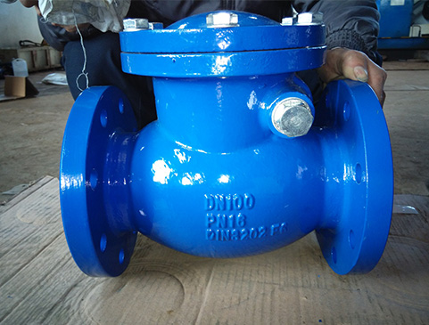 Swing Type Check Valve