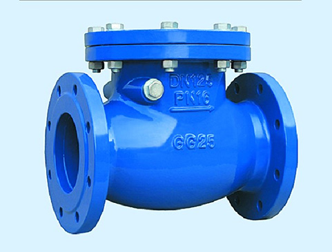 Swing Type Check Valve