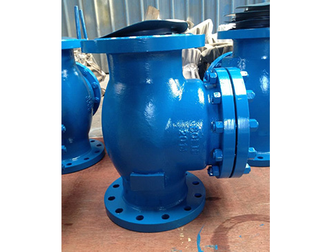 Swing Type Check Valve
