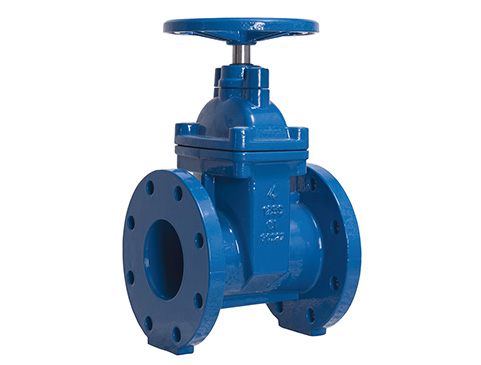 Flanged End Gate Valve