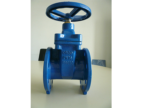 Flanged End Gate Valve