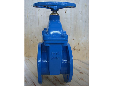 Flanged End Gate Valve