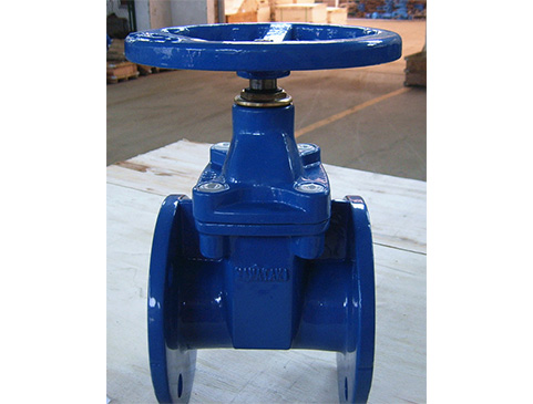 Flanged End Gate Valve