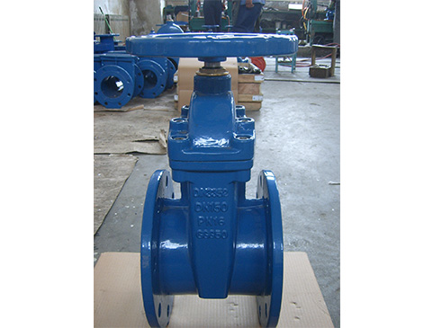 Flanged End Gate Valve